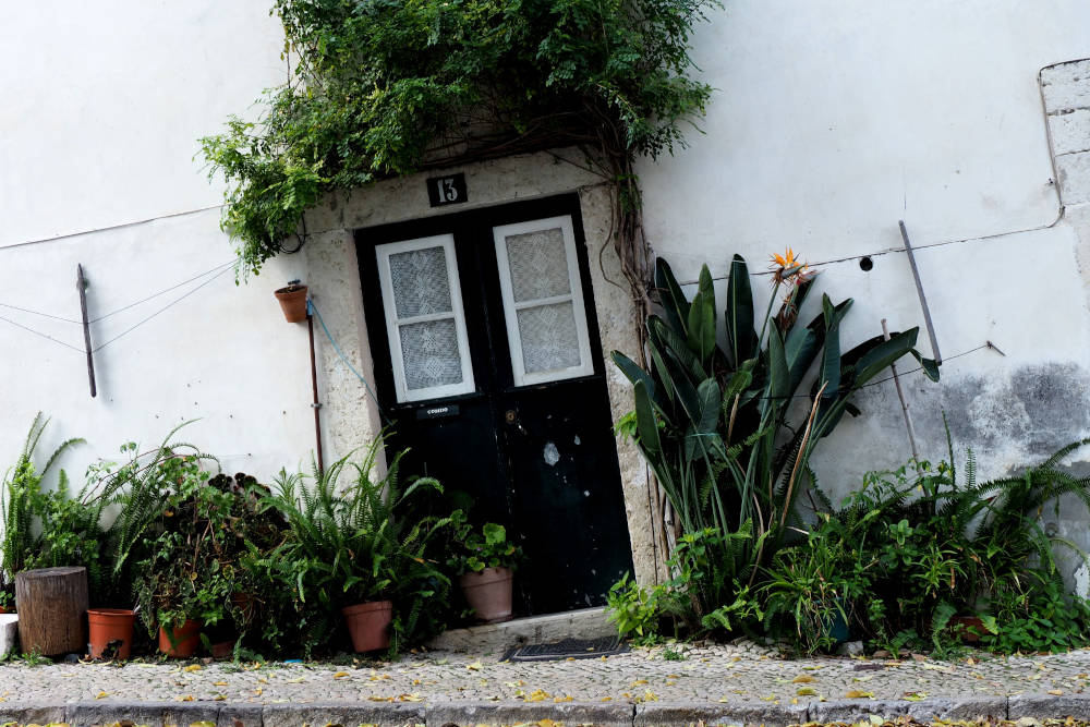 door to the internet